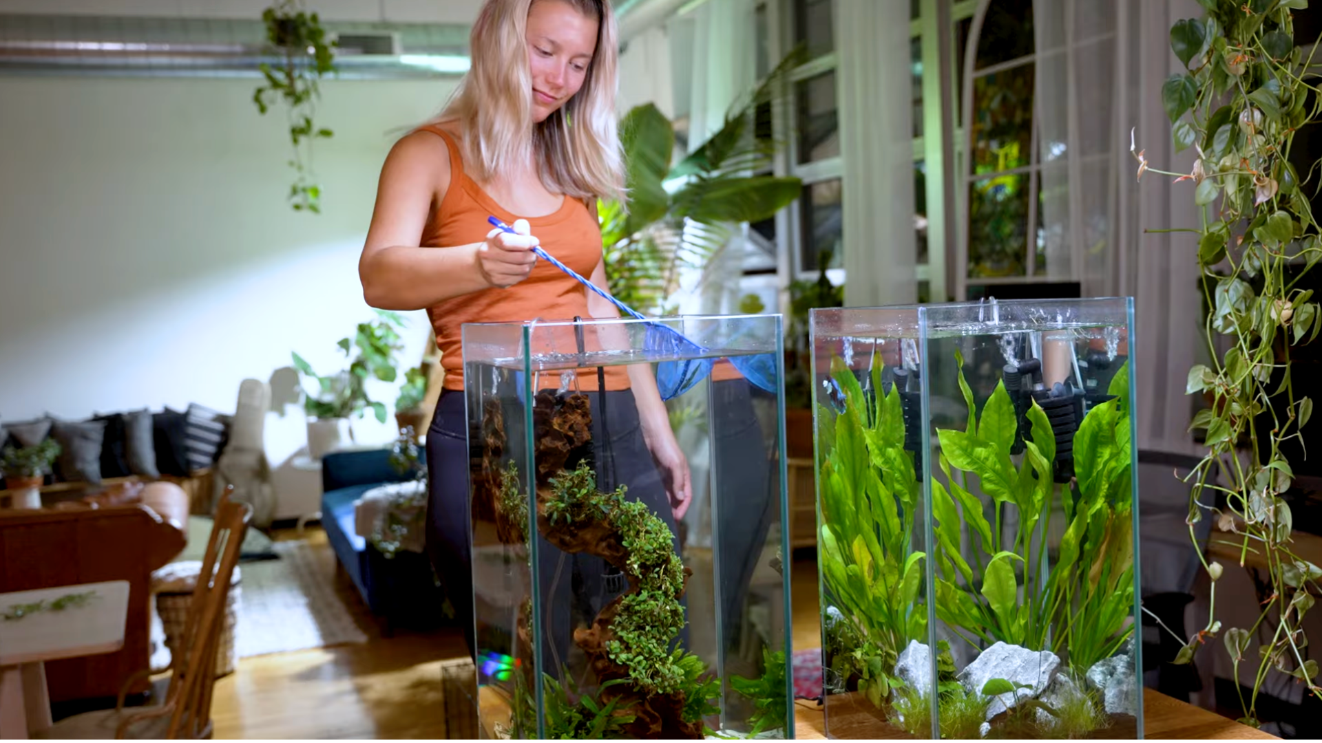 Step 3: Skim Floating Debris with a Net
