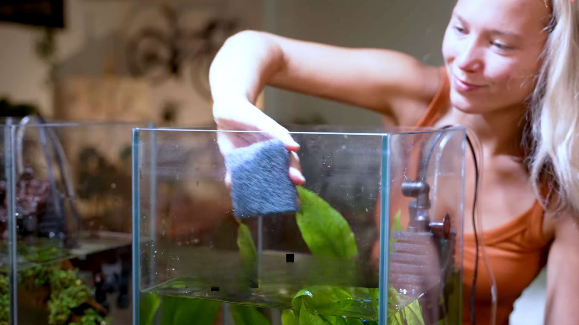 Step 8: Clean the Glass and Lower Surfaces