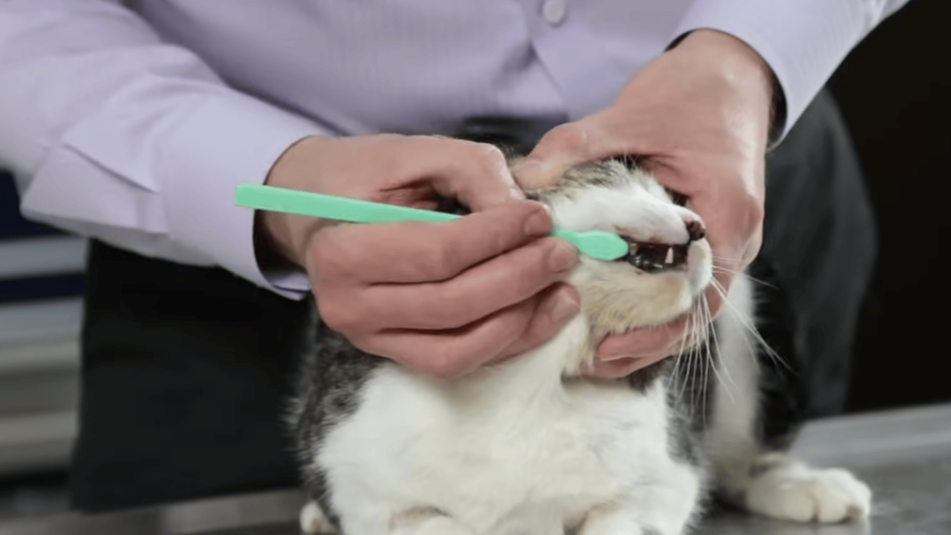 Transition to a Toothbrush