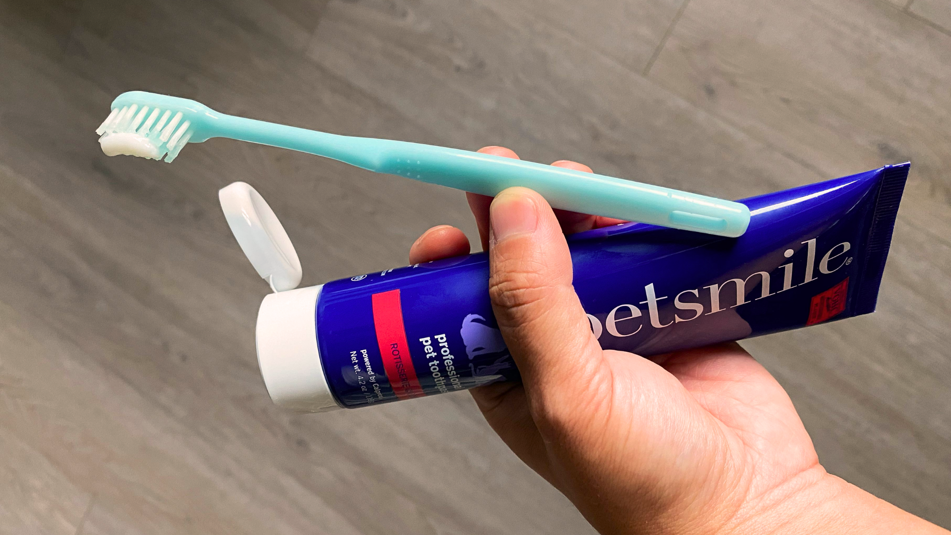 Best Dog Toothpastes You Can Trust
