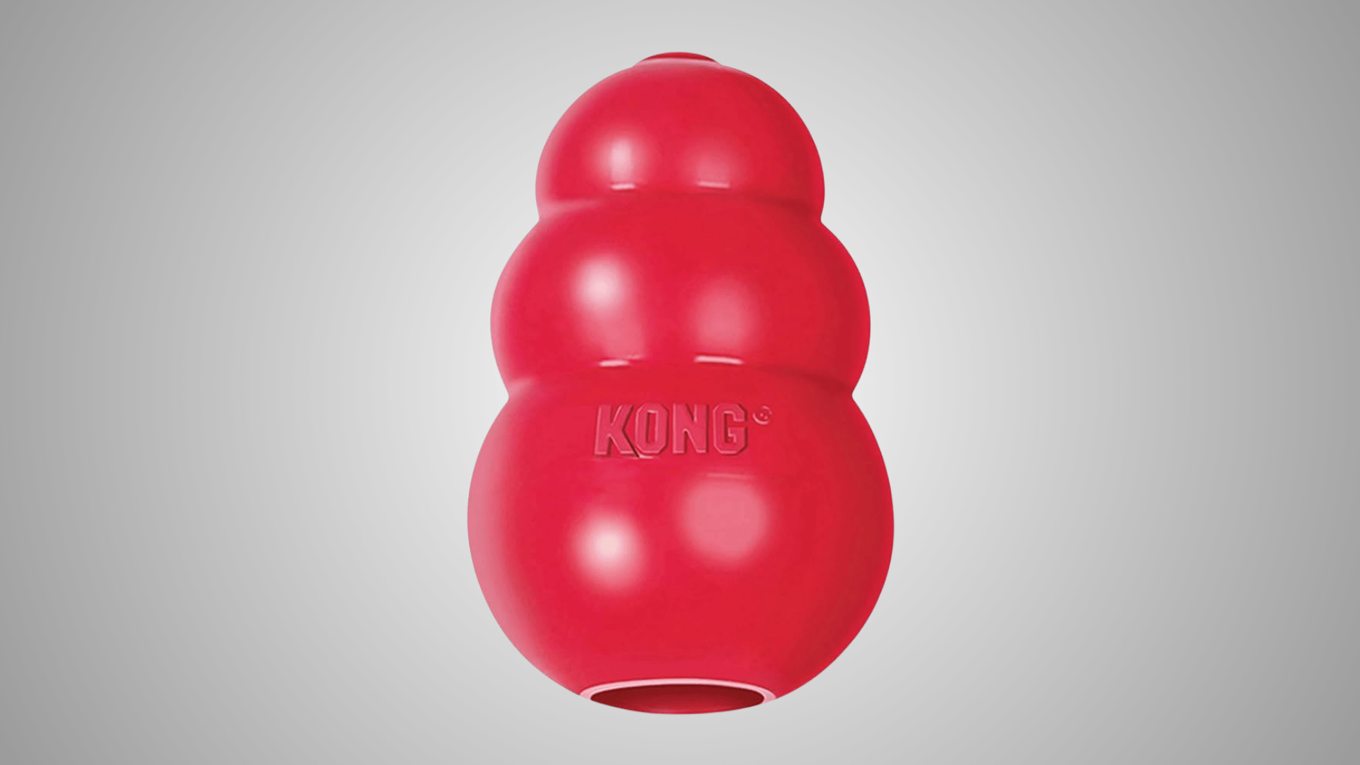 Kong Classic Dog Toy