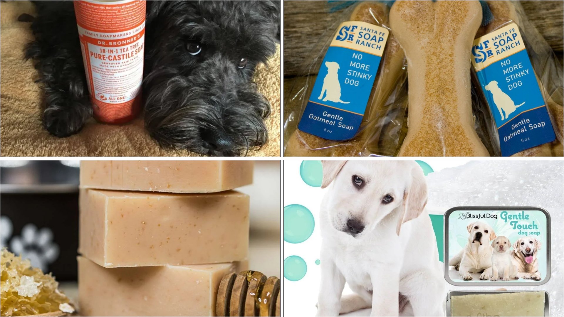 Safe Soap Types for Dogs
