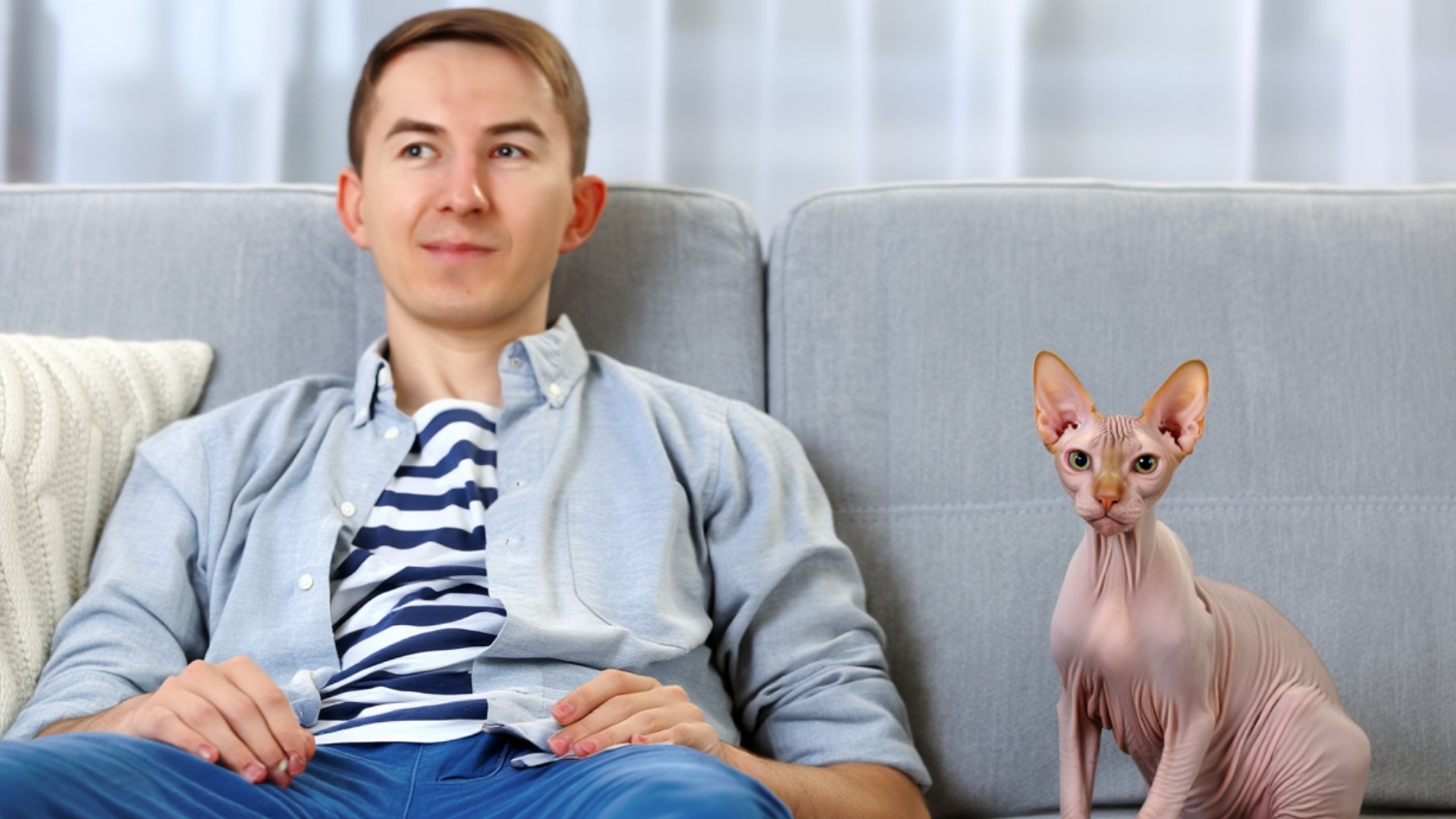 Socialization and Behavior of Sphynx Cats
